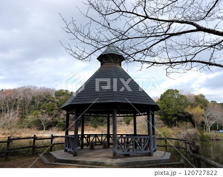 坂田ケ池総合公園の風景 120727822