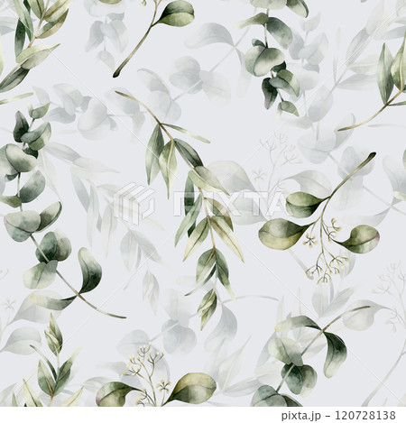 Eucalyptus Branches. Silver Dollar Eucalypt, Seeded Gum Tree. Watercolor floral seamless pattern on light blue background for wedding design, home textile, fabric, wrapping paper, cosmetic package 120728138