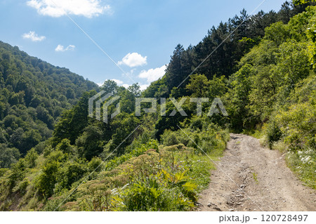 Winding path through lush green hills under a bright blue sky on a serene summer day Winding path through lush green hills under a bright blue sky on a serene summer day 120728497