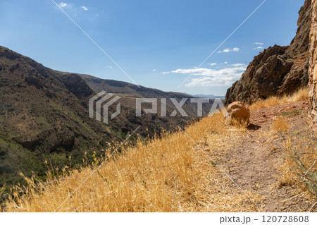 Scenic exploration of Armenias red mountains showcasing natural beauty and rugged terrain 120728608