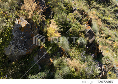 Vibrant greenery thrives on rugged rocks in a serene mountainside landscape during a sunny afternoon Vibrant greenery thrives on rugged rocks in a serene mountainside landscape during a sunny afternoon 120728631