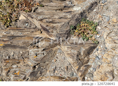 Uncovering the intricate patterns of rock formations in a rugged landscape under bright sunlight 120728641