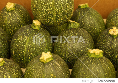 Showcase with round green zucchini. Food market, close-up 120728996