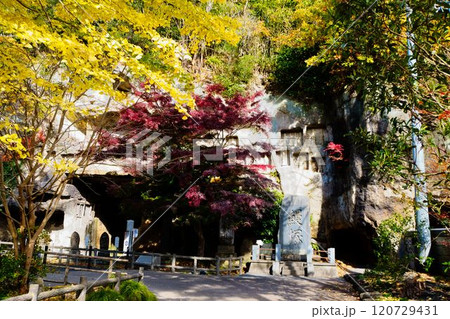 洞窟遺跡群と紅葉 120729431