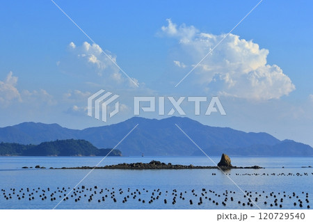 年々小さくなっているホボロ島 年々小さくなっているホボロ島 120729540
