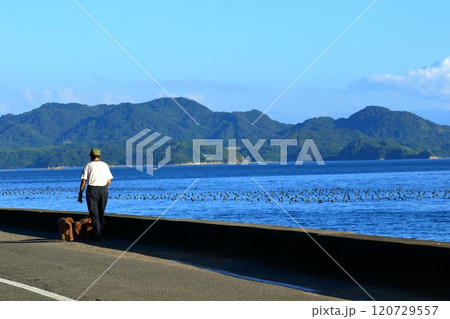 海沿いの道を愛犬と散歩をする人 120729557