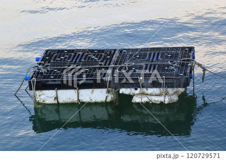 海に浮かぶ筏 120729571