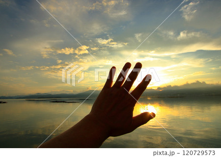 手のひらを太陽に 手のひらを太陽に 120729573