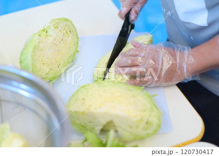 家庭の味 - 主夫が切る新鮮キャベツ 120730417