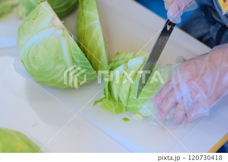 家庭の味 - 主夫が切る新鮮キャベツ 家庭の味 - 主夫が切る新鮮キャベツ 120730418