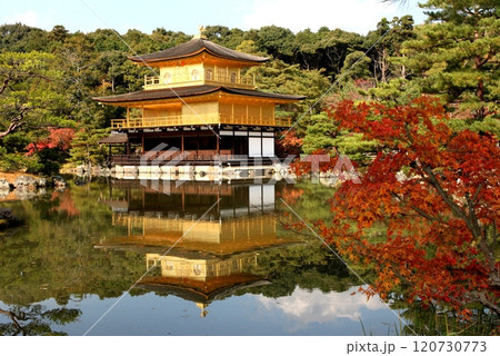 紅葉撮影スポット 紅葉撮影スポット 120730773
