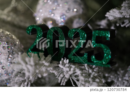 Prepare for the 2025 Festive Celebration Ornamental Decoration for the joyful holiday season Prepare for the 2025 Festive Celebration Ornamental Decoration for the joyful holiday season 120730784