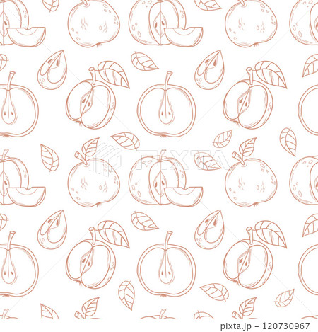 Seamless pattern with outline Apple on white background. Line hand drawing. Vector illustration Seamless pattern with outline Apple on white background. Line hand drawing. Vector illustration 120730967
