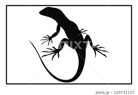 lizard silhouette set illustration, Black silhouette of a lizard isolated on a white background 120731155