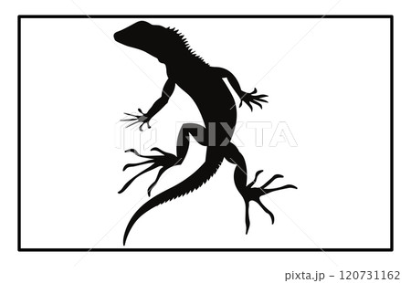 lizard silhouette set illustration, Black silhouette of a lizard isolated on a white background 120731162
