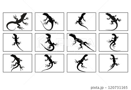 lizard silhouette set illustration, Black silhouette of a lizard isolated on a white background 120731165