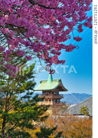 京都 春の銅閣  大雲院  祇園閣 (京都府京都市東山区) 京都 春の銅閣  大雲院  祇園閣 (京都府京都市東山区) 120731261