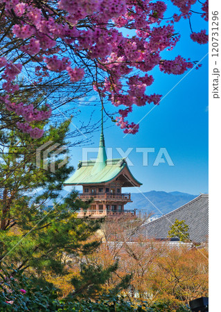 京都　春の銅閣　 大雲院　 祇園閣　（京都府京都市東山区） 120731296