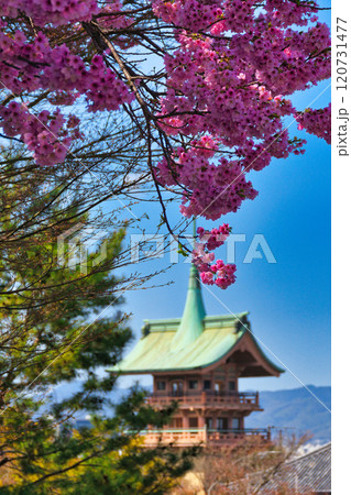 京都 春の銅閣 大雲院 祇園閣 (京都府京都市東山区) 京都 春の銅閣 大雲院 祇園閣 (京都府京都市東山区) 120731477