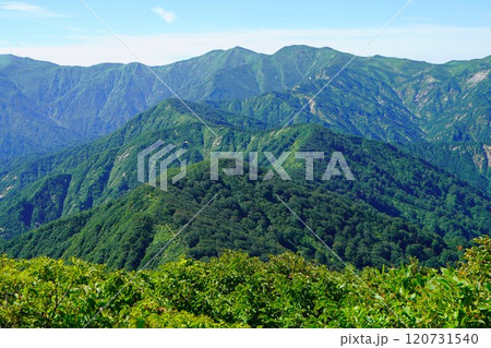 天狗角力取山から寒江山への尾根 天狗角力取山から寒江山への尾根 120731540