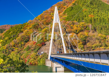 【神奈川県】丹沢湖 永歳橋付近の紅葉 【神奈川県】丹沢湖 永歳橋付近の紅葉 120731647