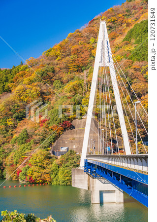 【神奈川県】丹沢湖 永歳橋付近の紅葉 【神奈川県】丹沢湖 永歳橋付近の紅葉 120731649