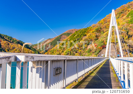 【神奈川県】丹沢湖 永歳橋付近の紅葉 【神奈川県】丹沢湖 永歳橋付近の紅葉 120731650