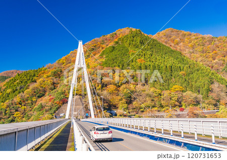 【神奈川県】丹沢湖　永歳橋付近の紅葉 120731653