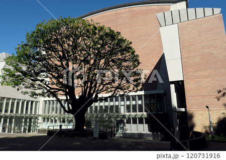 東京藝術大学奏楽堂の外観 東京藝術大学奏楽堂の外観 120731916
