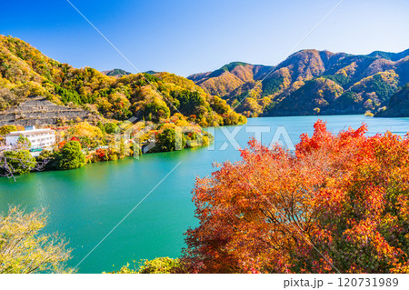 【神奈川県】丹沢湖・湖畔の紅葉 【神奈川県】丹沢湖・湖畔の紅葉 120731989