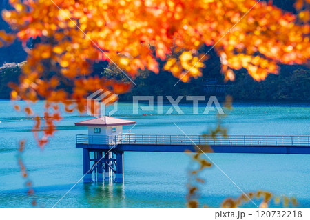 【神奈川県】紅葉が美しい丹沢湖・三保ダム測水塔 120732218