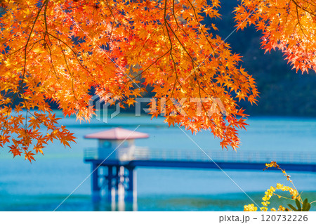 【神奈川県】紅葉が美しい丹沢湖・三保ダム測水塔 120732226