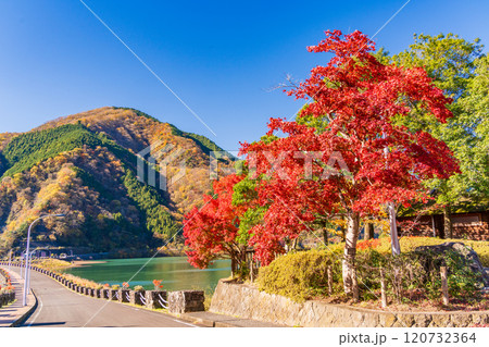 【神奈川県】紅葉が美しい丹沢湖・三保ダム堰堤 120732364
