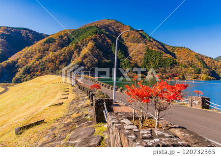 【神奈川県】紅葉が美しい丹沢湖・三保ダム堰堤 【神奈川県】紅葉が美しい丹沢湖・三保ダム堰堤 120732365
