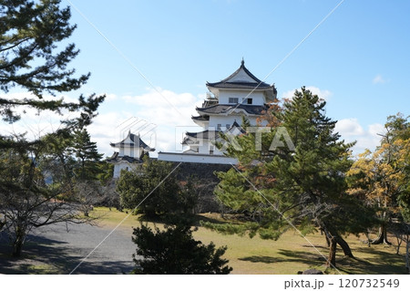 伊賀上野城と櫓 伊賀上野城と櫓 120732549