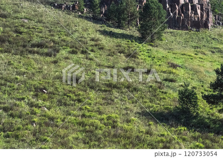 Summer landscape in the mountains. Large dolerite stones on Mount Voznesenka. Nature of Eastern Siberia. Summer landscape in the mountains. Large dolerite stones on Mount Voznesenka. Nature of Eastern Siberia. 120733054
