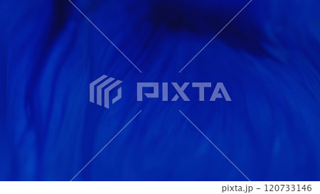 Color gel drop. Paint blend. Defocused vivid black blue pigment transparent glitter particles texture oil emulsion drop blend spreading art abstract modern background. 120733146