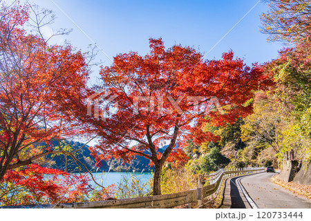 【神奈川県】紅葉狩りが楽しめる、丹沢湖周遊道路 【神奈川県】紅葉狩りが楽しめる、丹沢湖周遊道路 120733444