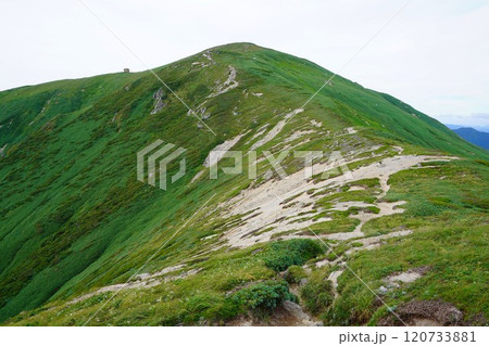 朝日連峰の以東岳への登山道と以東小屋 120733881
