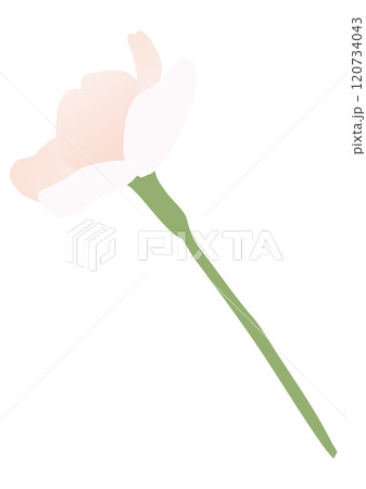 桜の花のベクターイラスト 120734043