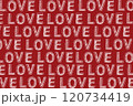 LOVE. Hand drawn illustration 120734419