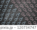 Gender Symbols on Chalkboard 120734747