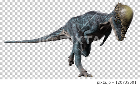 パキケファロサウルス　Pachycephalosaur 120735601