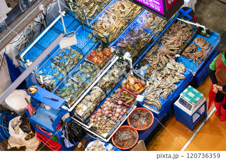 Seoul, South Korea - NOV. 30, 2024 : Locals and tourists at Noryangjin Fisheries Wholesale Market, an extensive farmers fish market in the neighborhood of Noryangjin-dong in Dongjak-gu, Seoul. Seoul, South Korea - NOV. 30, 2024 : Locals and tourists at Noryangjin Fisheries Wholesale Market, an extensive farmers fish market in the neighborhood of Noryangjin-dong in Dongjak-gu, Seoul. 120736359