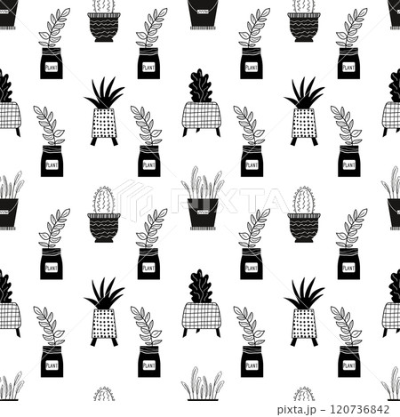 Seamless doodle pattern with the image of domestic plants in pots - cacti, succulents, palm trees. Linear patterns made by hand. Black and white design for fabric, wrapping, stationery, background Seamless doodle pattern with the image of domestic plants in pots - cacti, succulents, palm trees. Linear patterns made by hand. Black and white design for fabric, wrapping, stationery, background 120736842