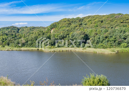 磐田市にある桶ヶ谷沼の風景(静岡県) 120736870