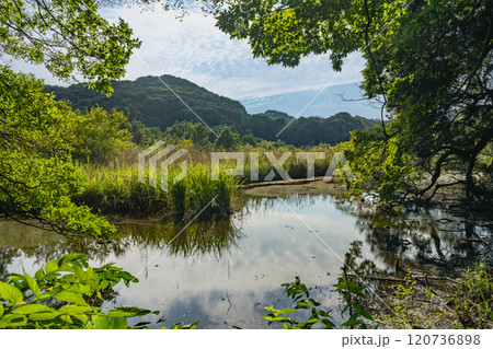 磐田市にある桶ヶ谷沼の風景(静岡県) 120736898
