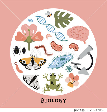 Biology lesson at school, science. Round composition with microscope, microorganisms, brain, insects, frog and plants. Education concept. Vector illustration isolated on white, hand drawn, flat 120737082