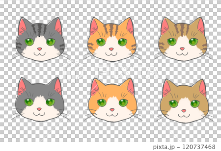 ハチワレ猫のイラストセット ハチワレ猫のイラストセット 120737468