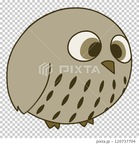 A simple and cute brown owl illustration 120737704
